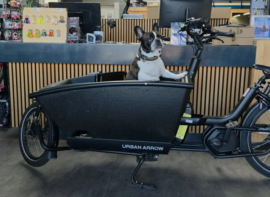 Hondenbakfiets bakfiets hond huren in Egmond