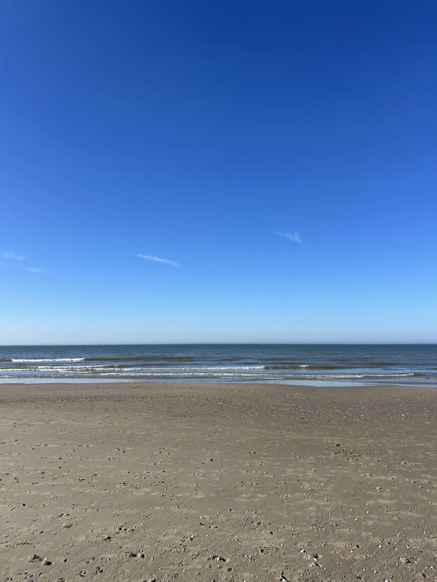 Strand egmond aan zee