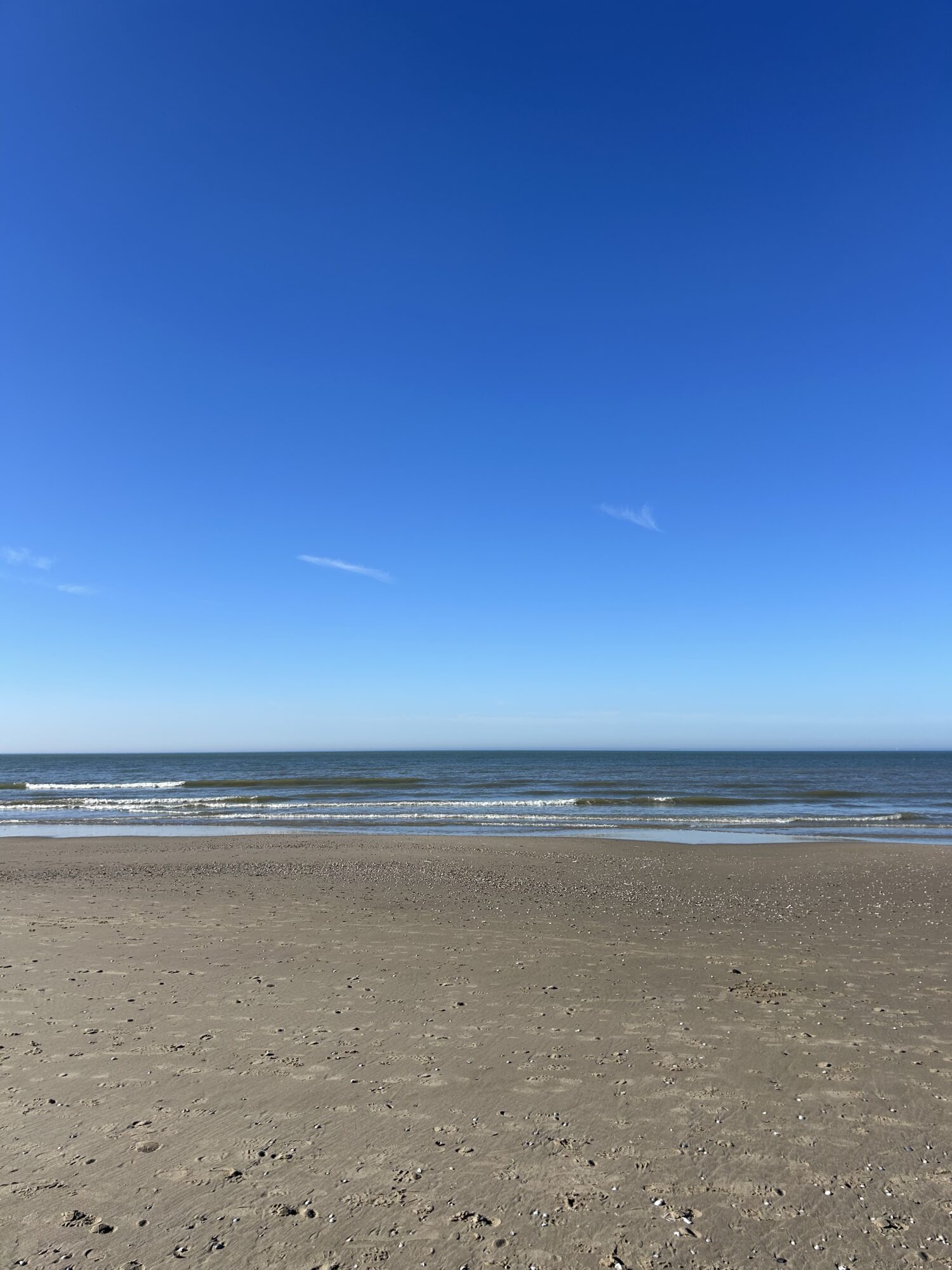 Strand egmond aan zee