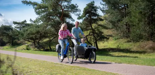 Bicycle rental in Egmond